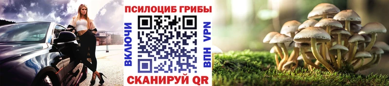 Псилоцибиновые грибы ЛСД  купить  цена  mega маркетплейс  нарко площадка состав  Ейск 
