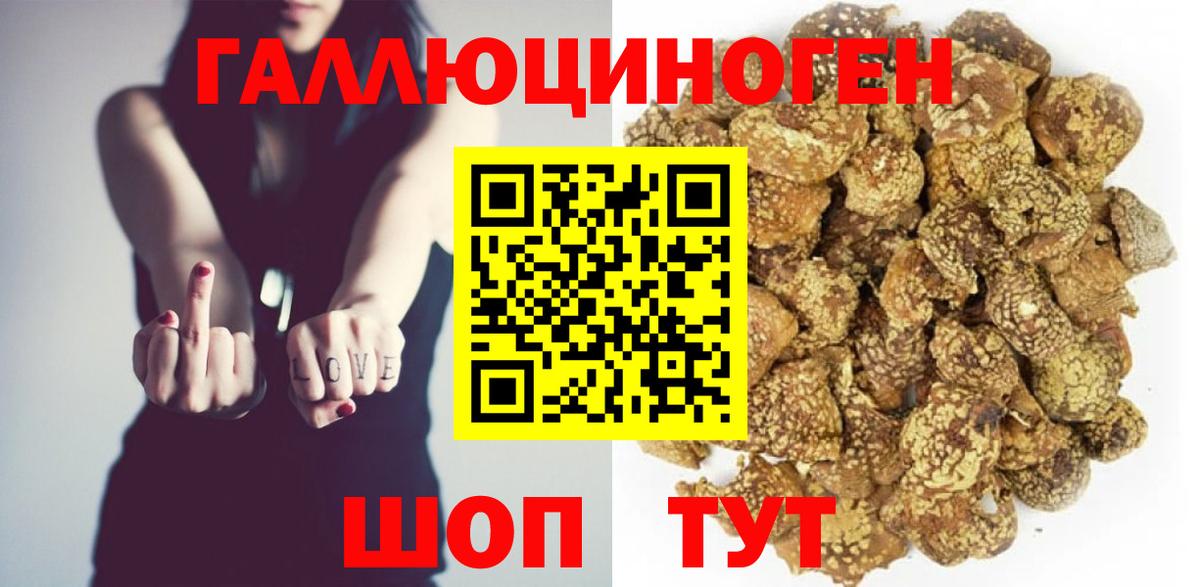 Галлюциногенные грибы Cubensis Ейск